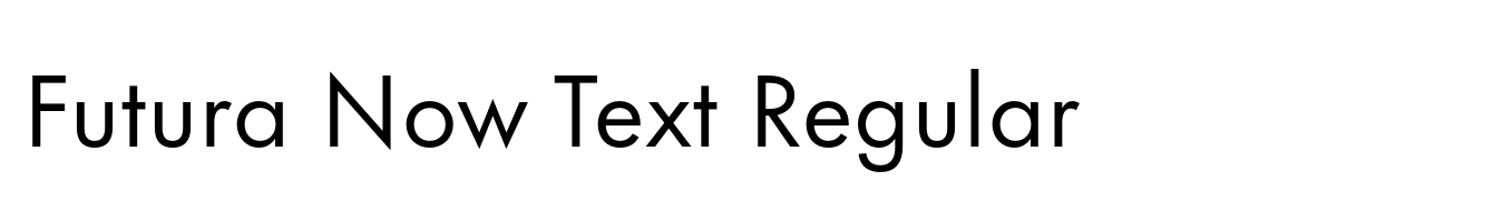 Futura Now Text Regular